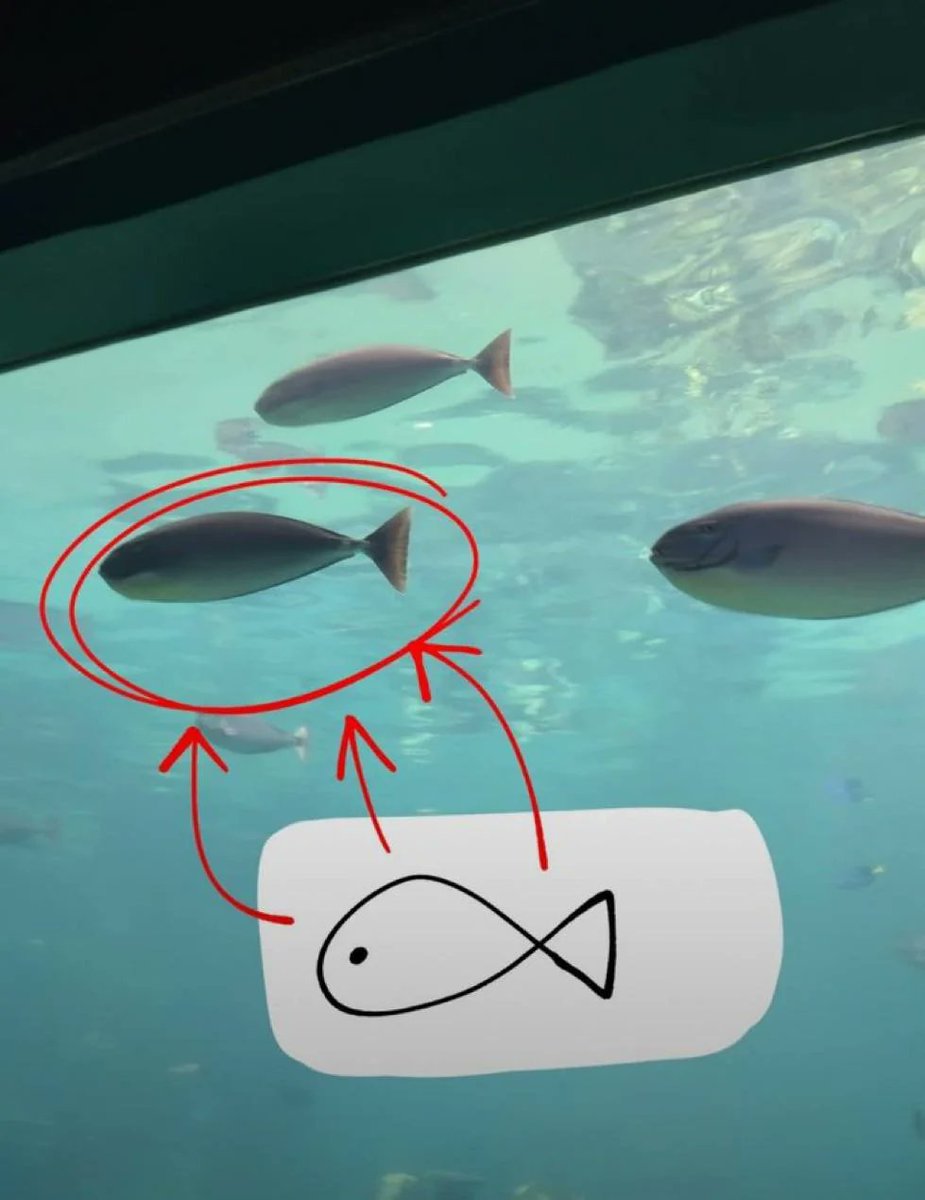 Noraaa✨🐶🪽 tweet media