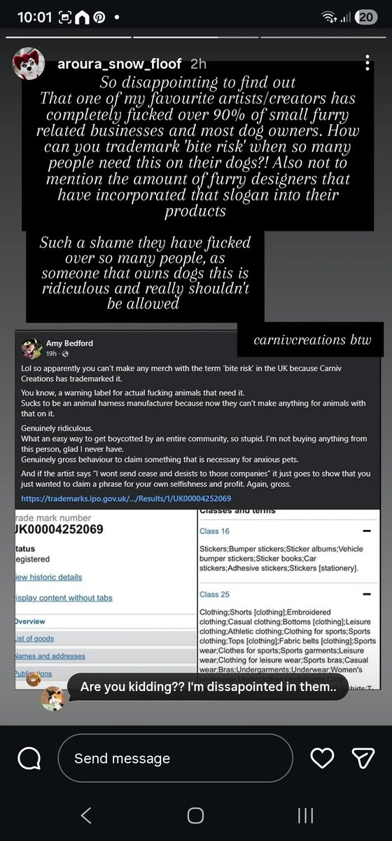 Bailey (lilpixiekitten) tweet media