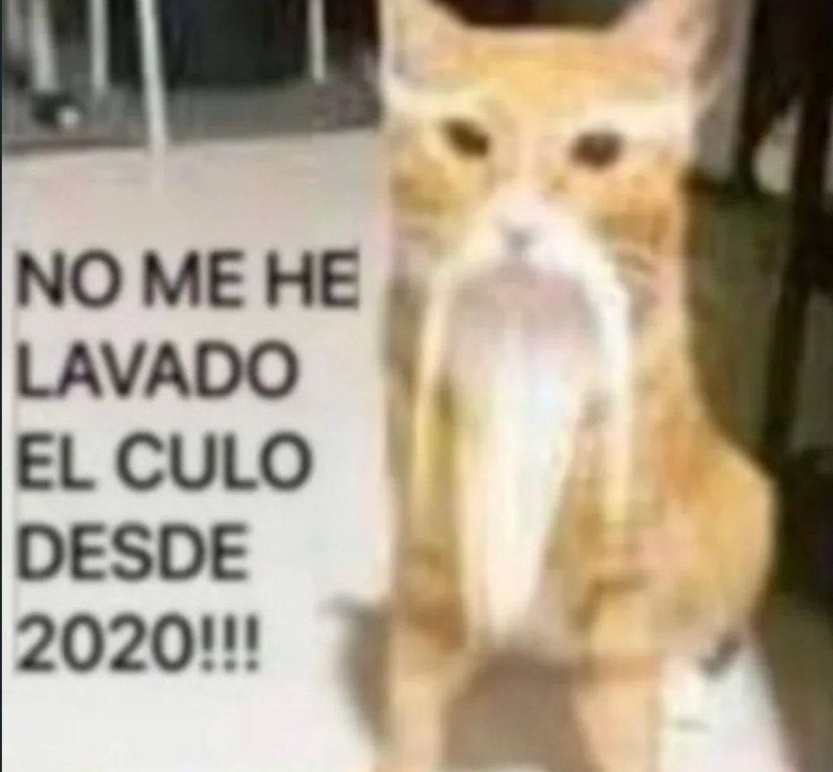 piña sin pizza (@skereunpesado) on Twitter photo 