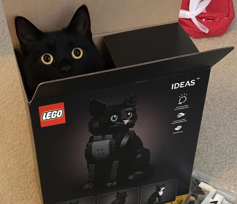 itsD3lay🐧 (@itsd3lay) on Twitter photo 