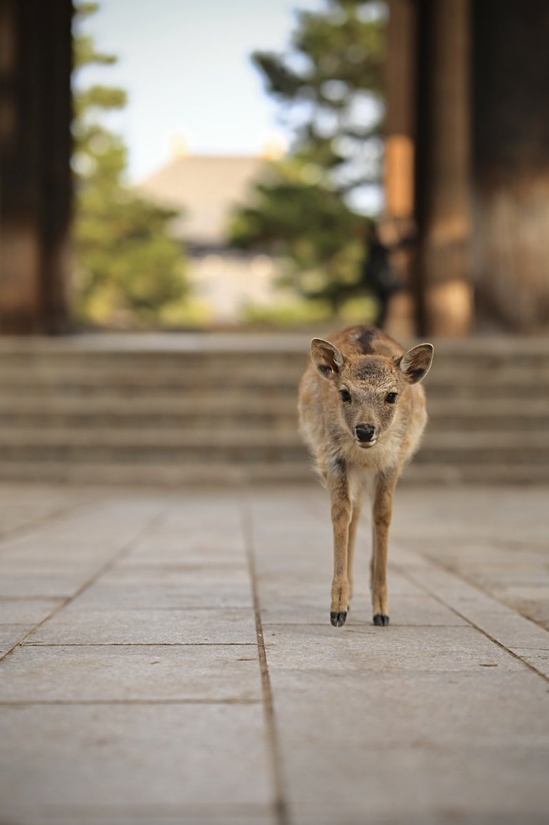 ayumi♡ ページ SP-A4 : Ayumi Kinoshita / Special Card (Clear Card) / Ayumi