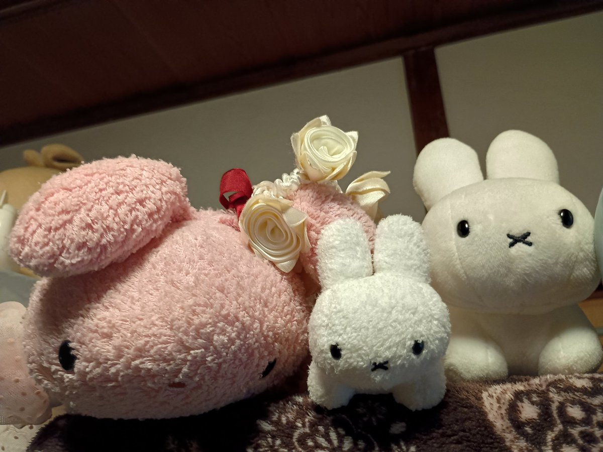 nui_momo's tweet photo. あけましてーおめでとうーっていいわすれちゃったーきのうー https://t.co/V3uQUCmA6Y