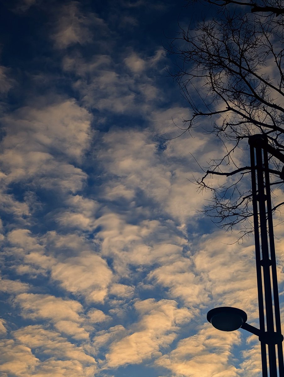 nick_trigger11's tweet image. おはようございます(*^^*)
寒いよ:;((•﹏•๑)));:
 #イマソラ
 #スマホ写真