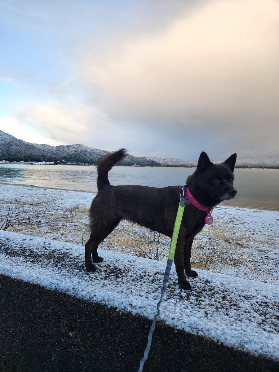 明けましておめでとうございます🎍