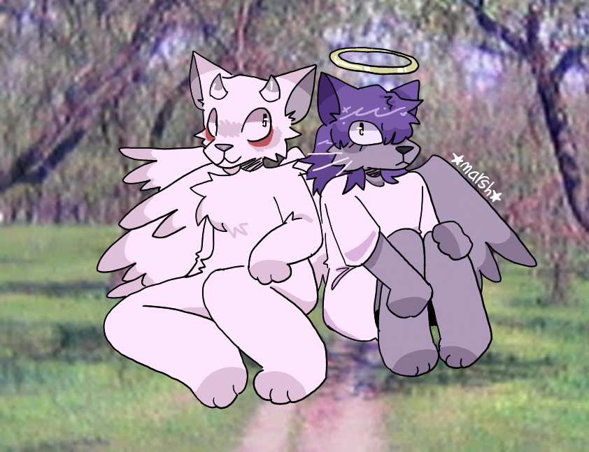 mrshal1m4ssacr3's tweet photo. two angel wolf girls
@sixvving @stomachbook66
#sixwing #stomachbook https://t.co/SDklLATTVL