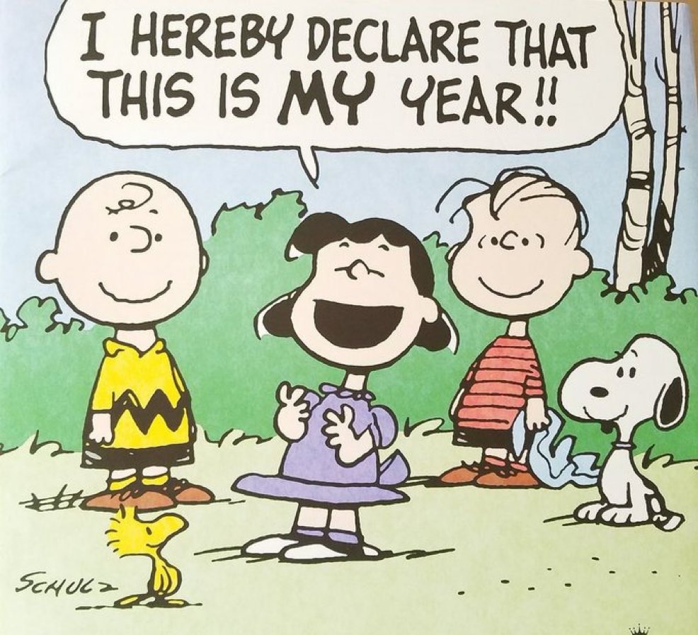 Storm Lake High School tweet media