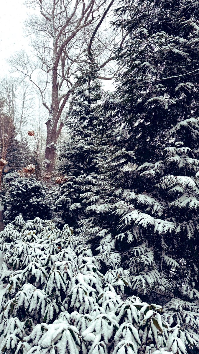 明けましておめでとうございます✨ 2026年も宜しくお願い致します