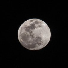 ClimaMgta's tweet photo. Luna Gibosa creciente. Mejorada con Nano Banana IA. Iluminada al 95%. Vista desde Las Cabreras, Isla de Margarita, Venezuela 🇻🇪. Alcanzará su Plenilunio (o Luna Llena) el 03-01-2026
#01ene 6:50 pm https://t.co/zaaMxvYu3M