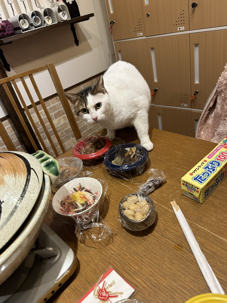 にゃんこカフェ♡ 店舗情報 | にゃんこカフェ