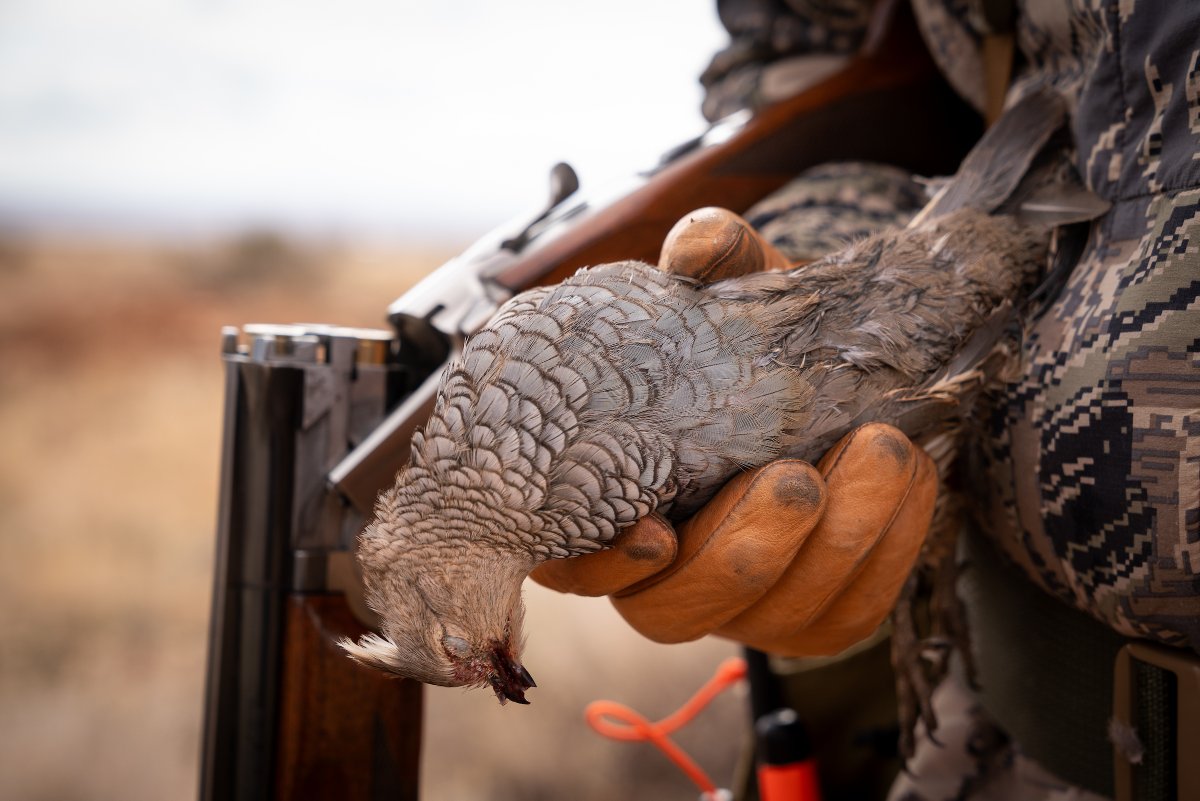 Ringing in the new year with a covey rise. Cheers to 2026 friends! 

📸 : QF Journal Editor, Ryan Sparks

#quailforever #thehabitatorganization