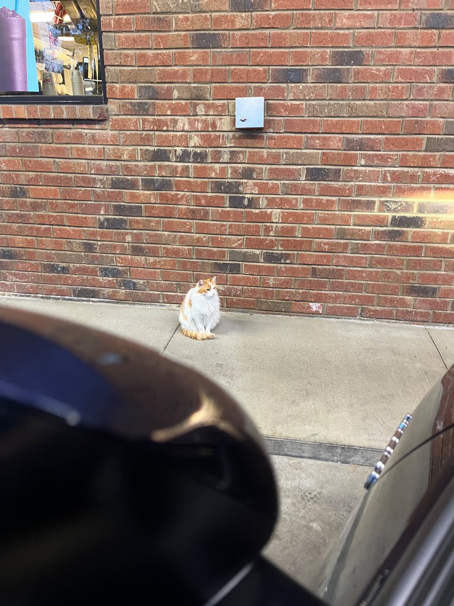 Ned Dannenberg tweet media