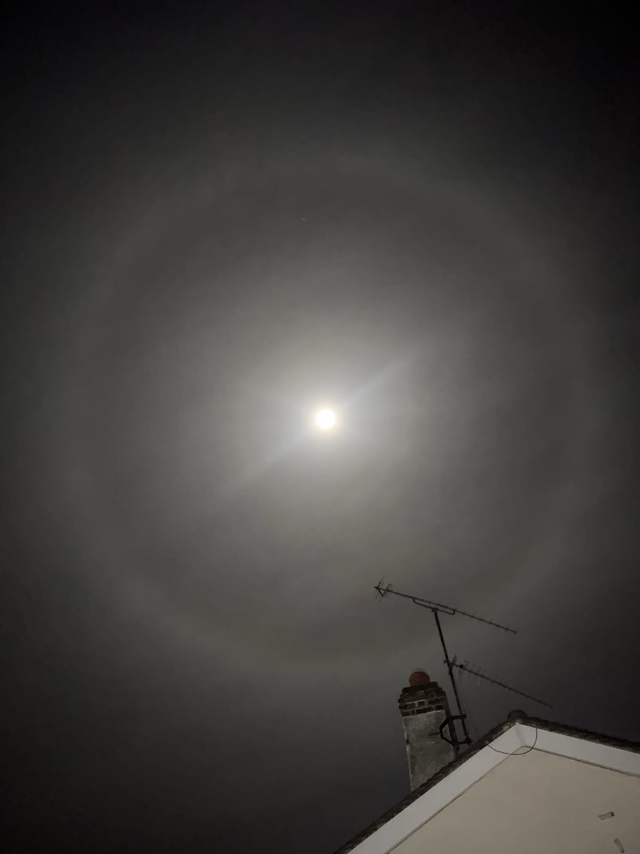 Sam davis tweet media