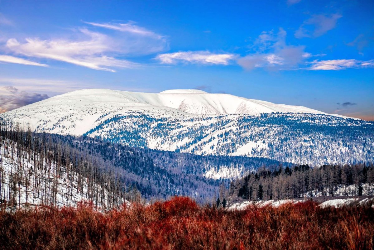 Өглөөний мэнд 🇲🇳
2026.01.02