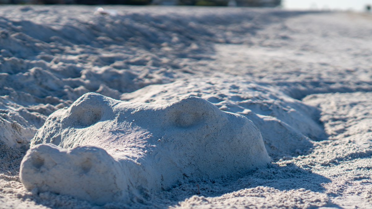 Kthings 🐊 tweet media