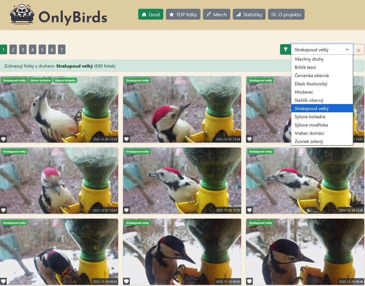 Michal Ševčík tweet media