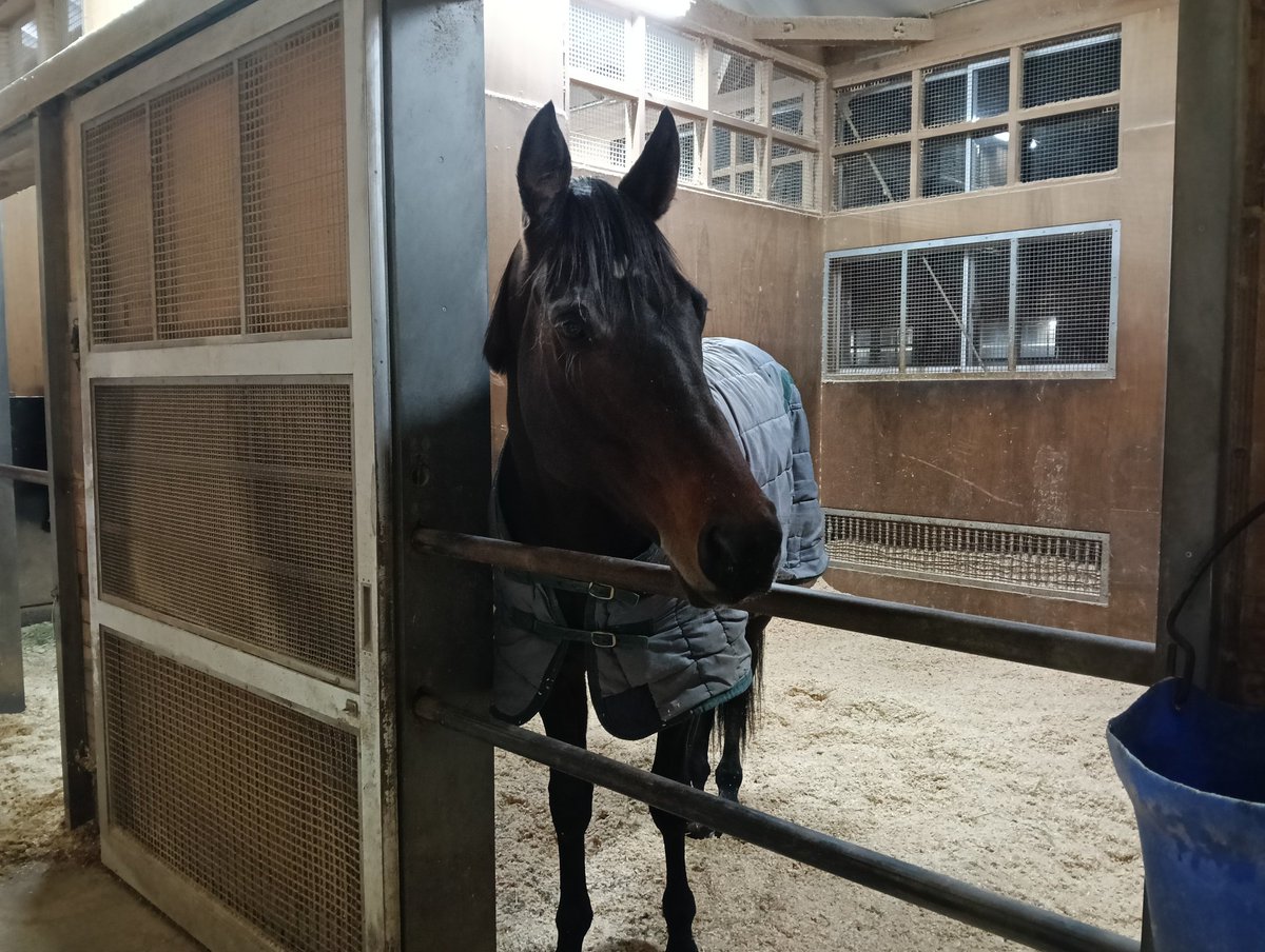 Take-chan tweet media