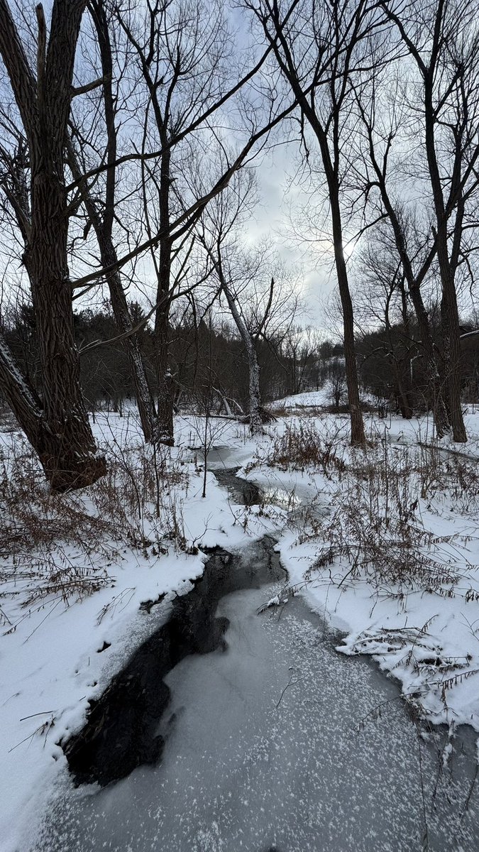 lady_jameson's tweet photo. Happy New Year all!  First walk of the new year in the #HungryHollow ravine. Here’s to many more in 2026! @_HaltonHills @CVC_CA https://t.co/EmfKyEhUp4