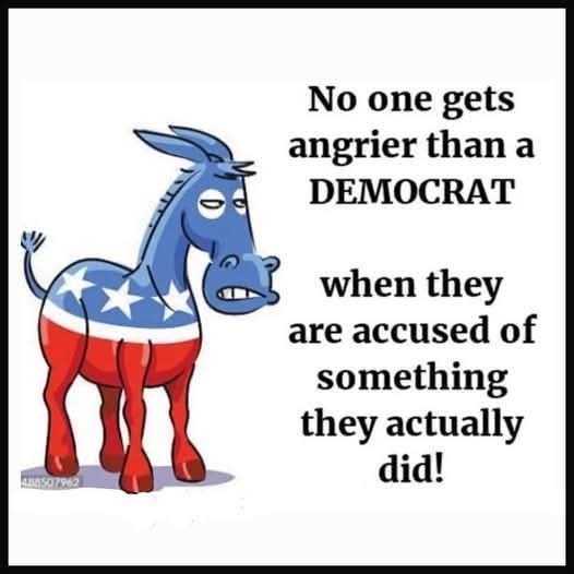 Rapid Now tweet media