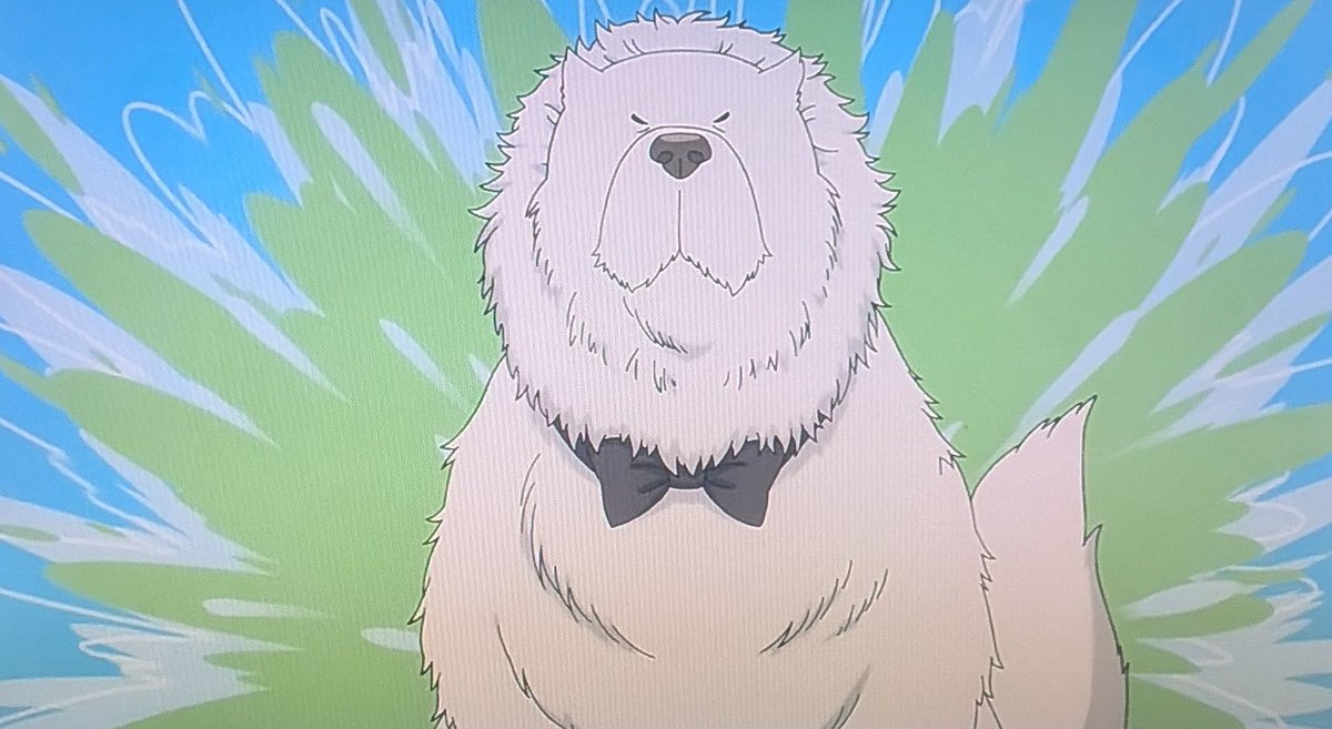 ヨッシー (@AOGSDkw5Qmr1X51) / Posts / X