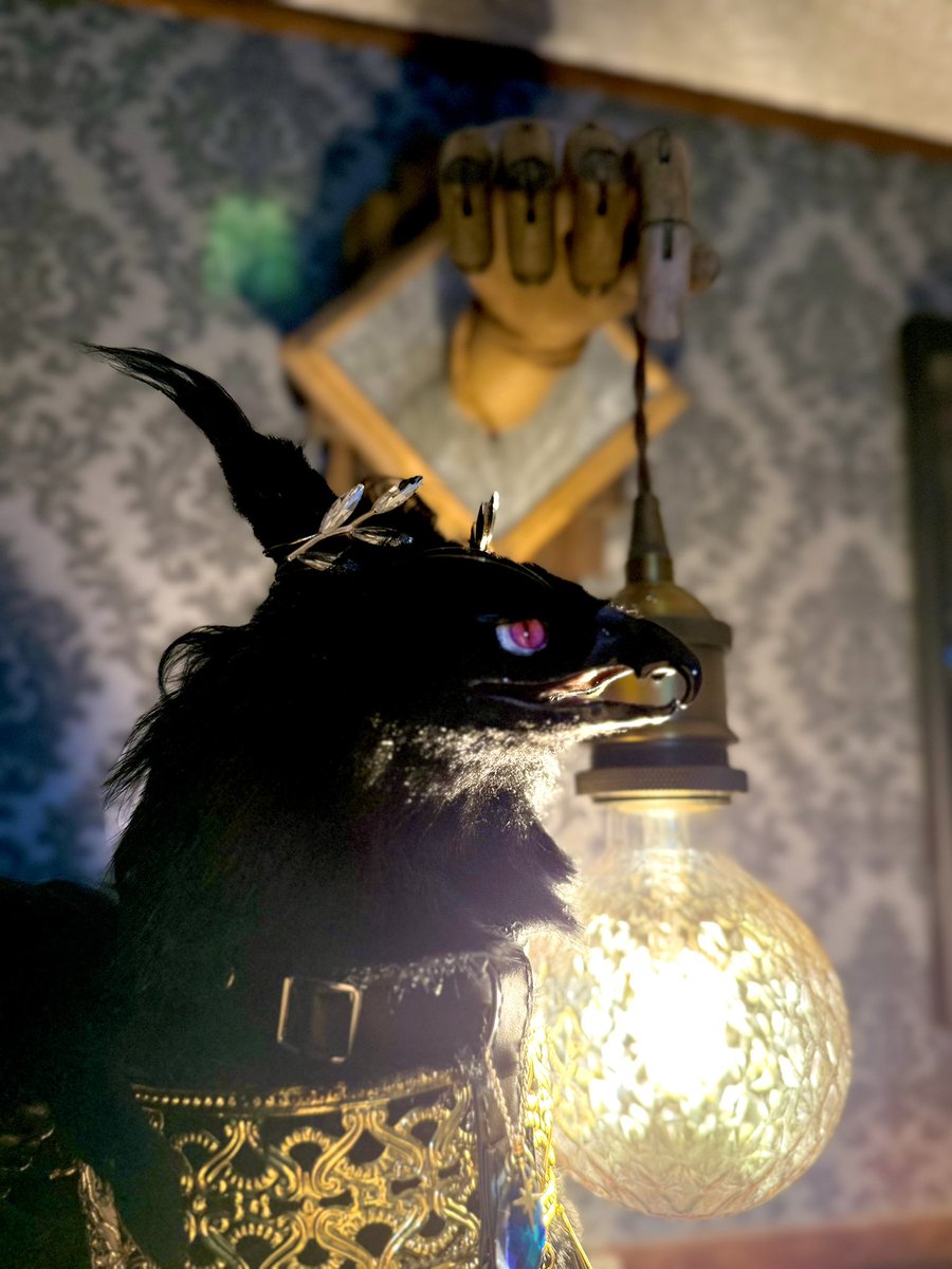 ほぼ新品】最終値下げ　アートドール　国内作家CAVALISA様製 ユウティラヌス CAVALISA/アートドール作家 (@to_aves) / Posts / X