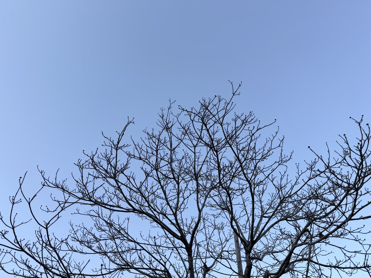 sato_thinking's tweet image. 運は、挑戦する人のもとに集まる。

待っているだけでは運は巡ってこない。小さくても挑戦を重ねることで、出会いや偶然がつながり、結果として「運がいい」と感じる出来事が増えていく。

おはようございます。
今日も良い一日をお過ごしください！