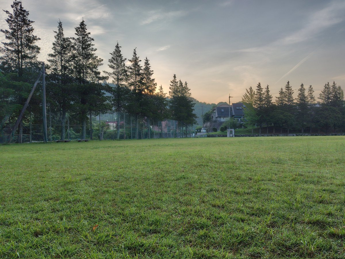 正月太り対策で大晦日から朝にウォーキングしてるけど今日は一段と寒い朝やね☀️

園田競馬場で歩き回ればカロリー消費出来そうやけど年末年始は人が多すぎるから毎年遠慮しています😅

1月1日の風景
7月1日の風景