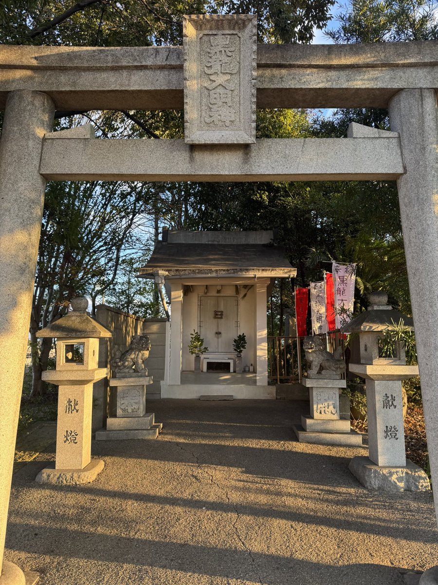 iKeさん専用 楽天市場】PIENI ピエニ SULKA L PVC ショルダー トート レザーバッグ