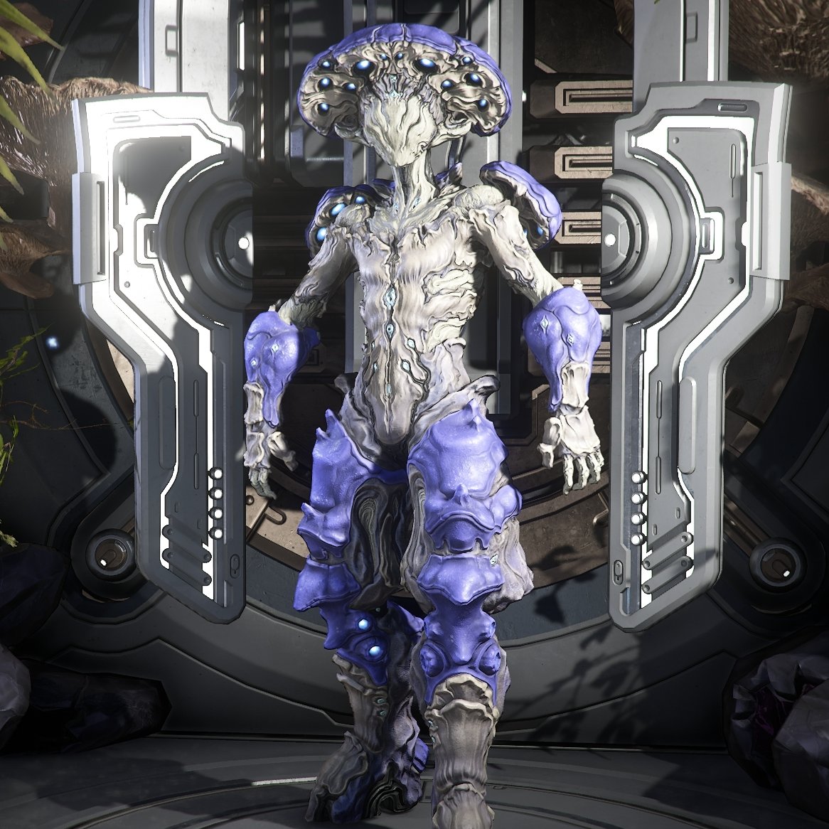 CephalonVashka's tweet image. 