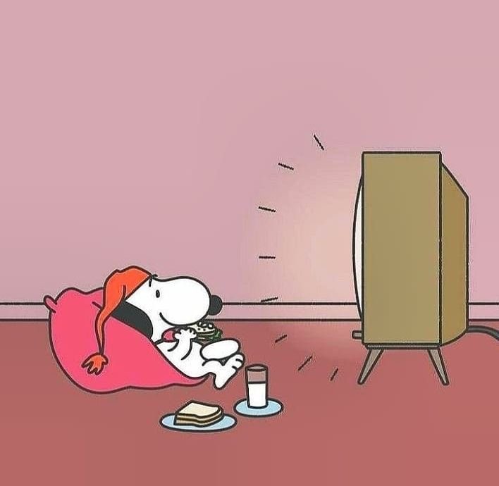 snoopy lover (@snoopyfever_) on Twitter photo 