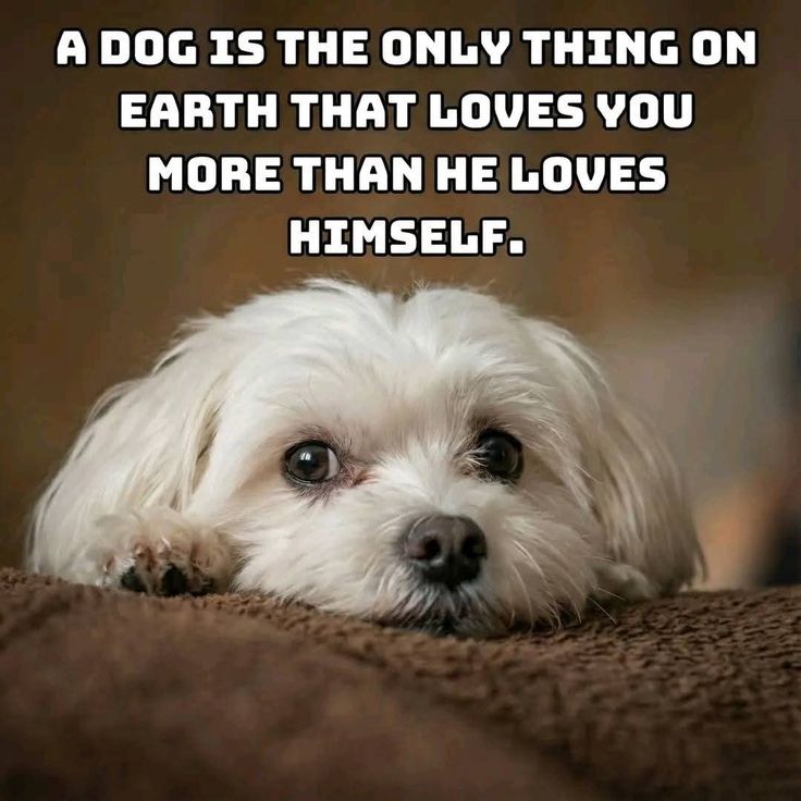 joyzee714's tweet image. Absolutely true ⤵️⤵️⤵️⤵️