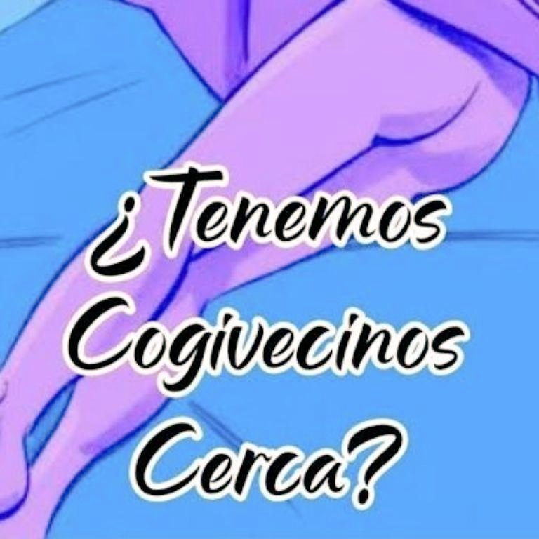 curiosos tweet media