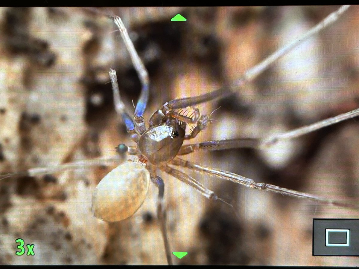 タマヤ様画像確認用 トゲ無し玉掛けワイヤ(PAT) | 製品のご紹介 | 株式会社勝山ロープ