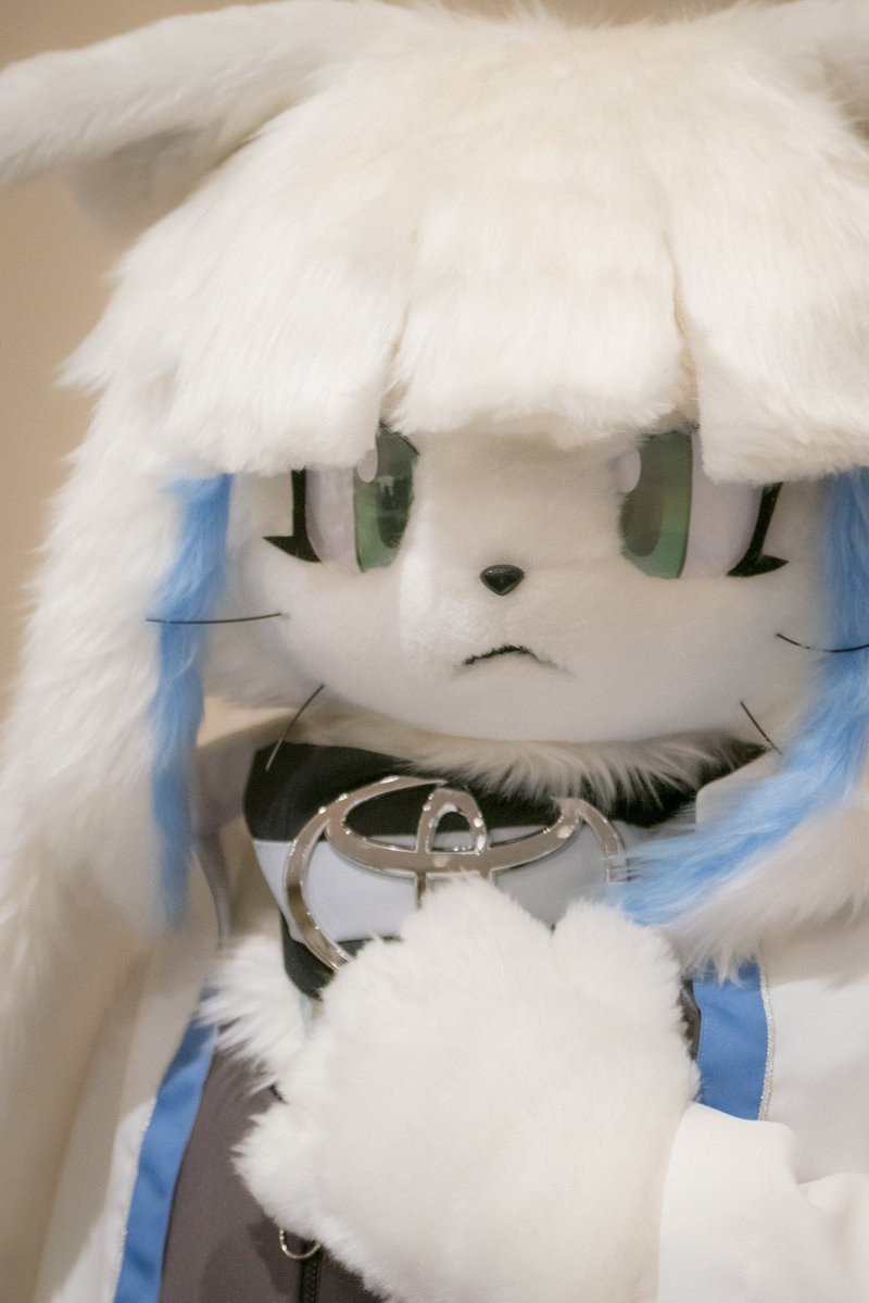 Fancy Fur Pierrot (@FancyFurPierrot) / Posts / X