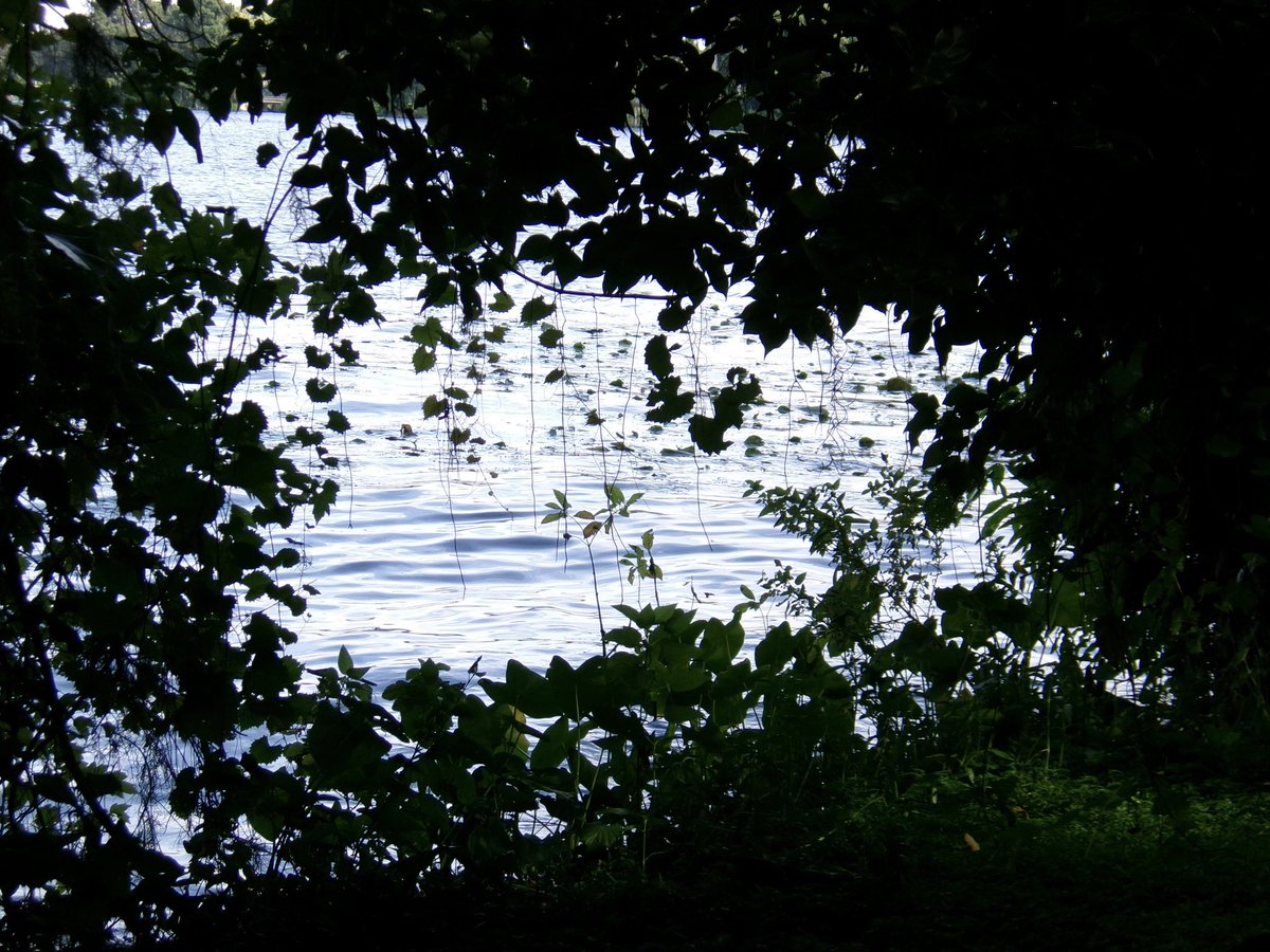 evil elly tweet media