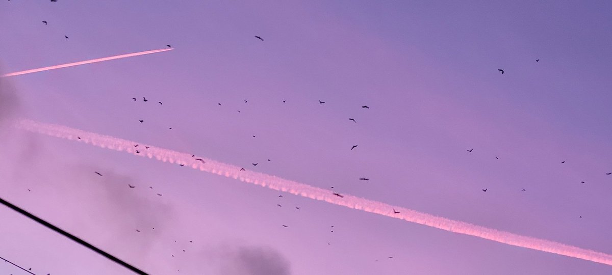 ANGRYNIC2's tweet image. So @easyJet @easyJetholidays  can you please tell me why your flight over UK tonight spewed this huge dripping trail over the UK this evening? What are you spraying because modern jet engines burn clean? #easyjet