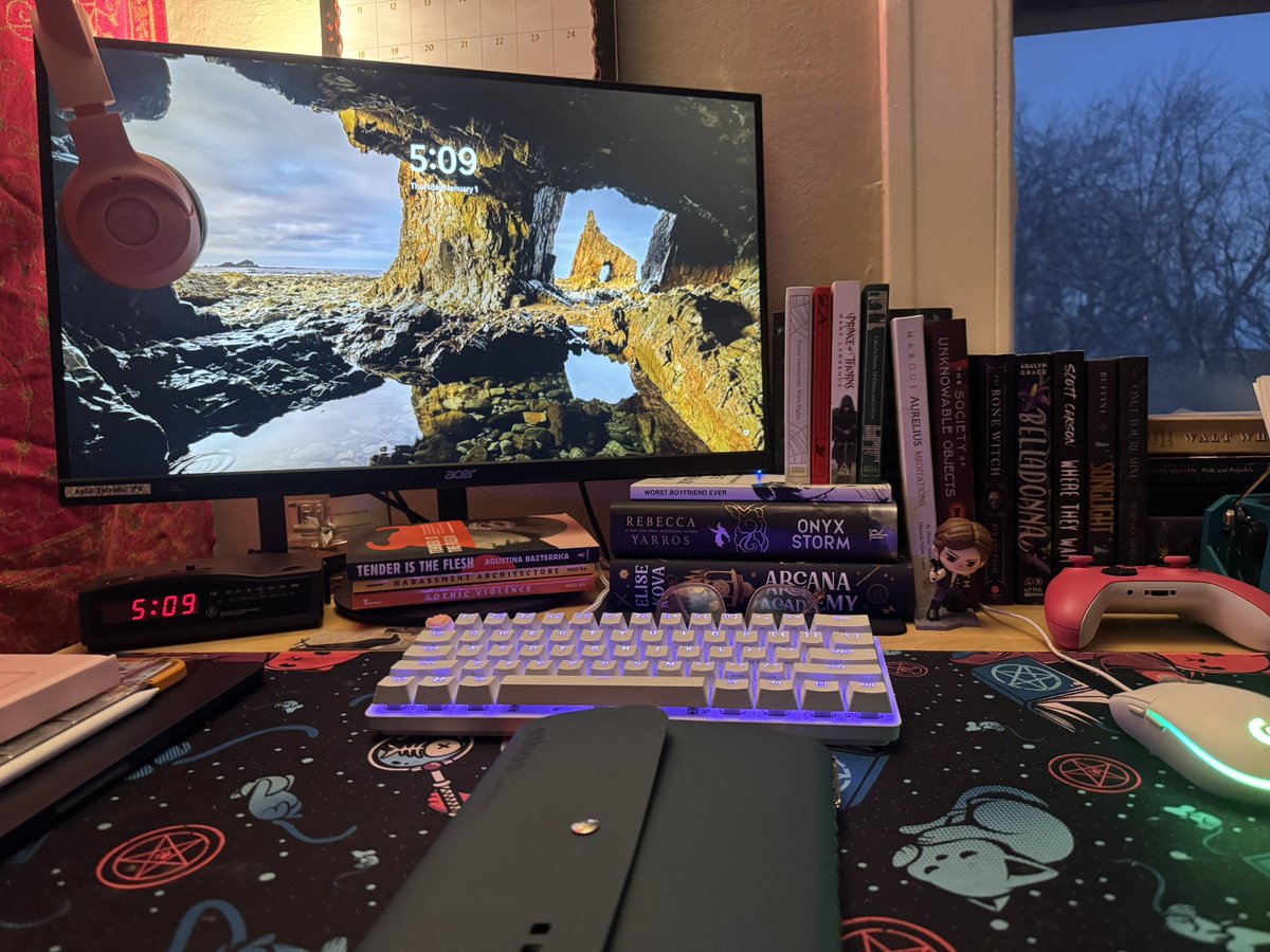 kyoko🌲 tweet media