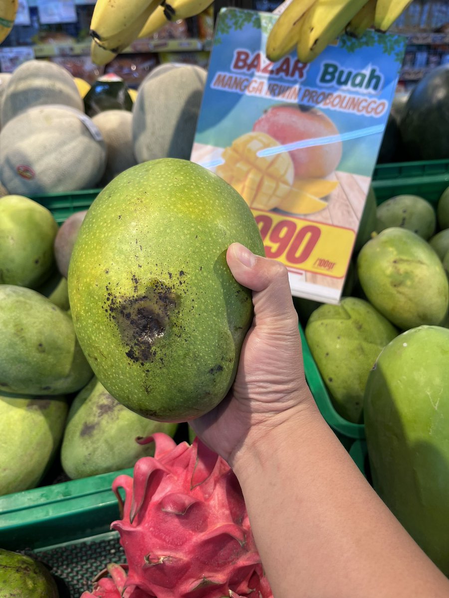 Mangga Elbaf