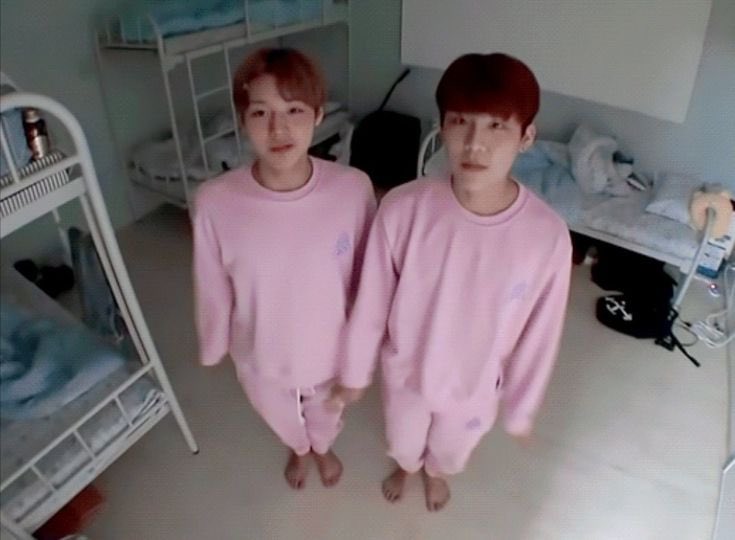 워너원고에서 2026ver분쏘단 보여주시길🙏