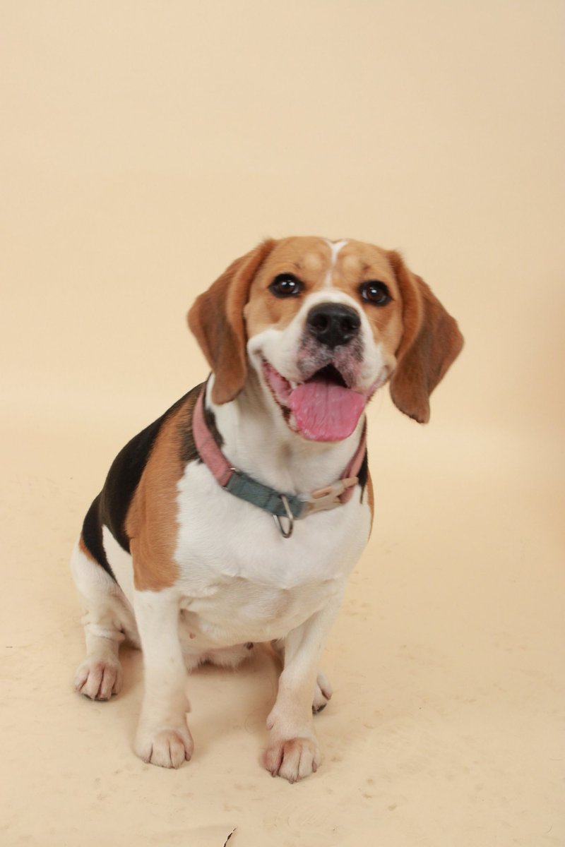 Eisenhart tweet media