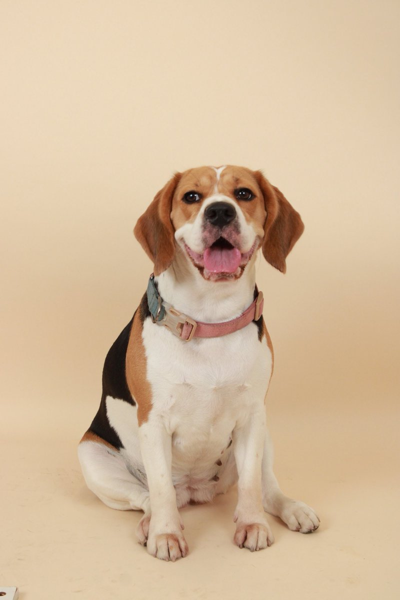 Eisenhart tweet media