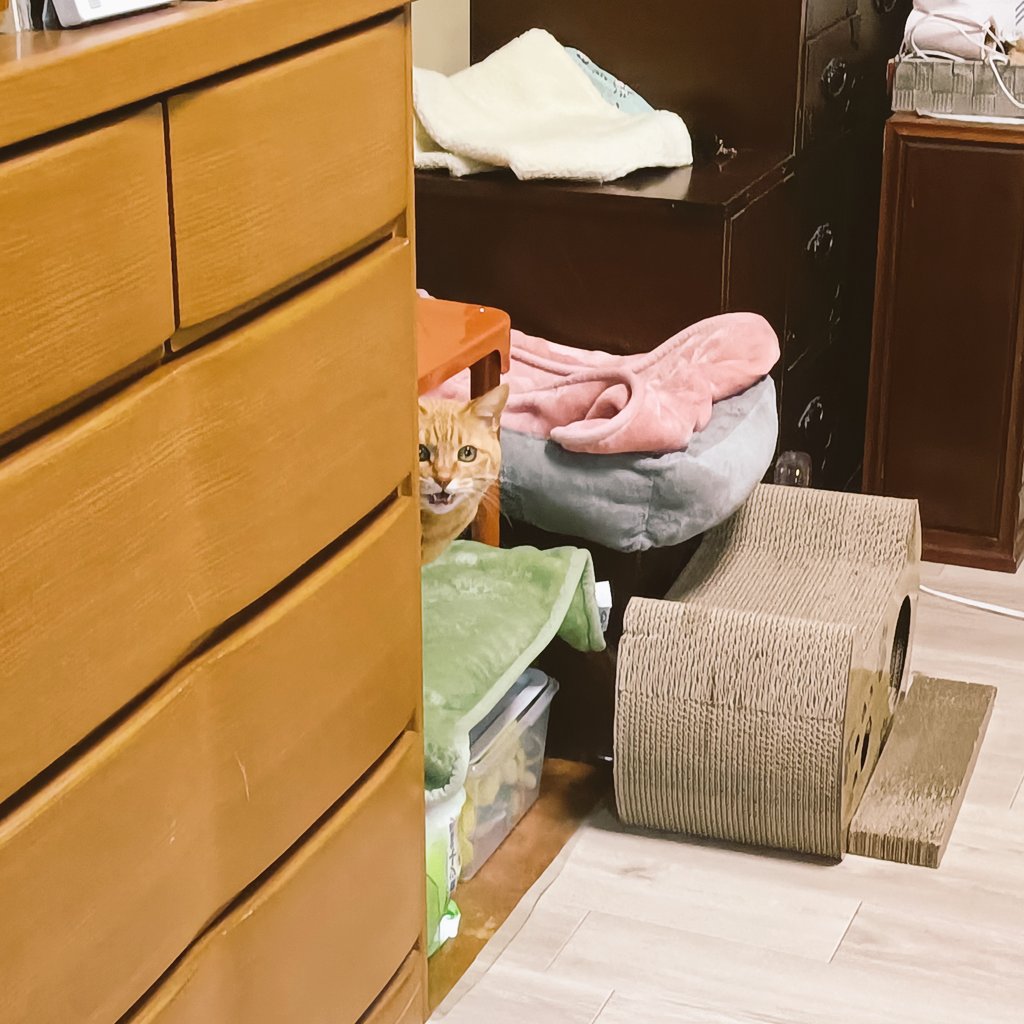 ちゃろさん専用 ちゃろ🧸通販 (@charoliiine) / Posts / X