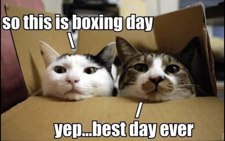 WholesomeMemes (@wholesomememe) on Twitter photo 