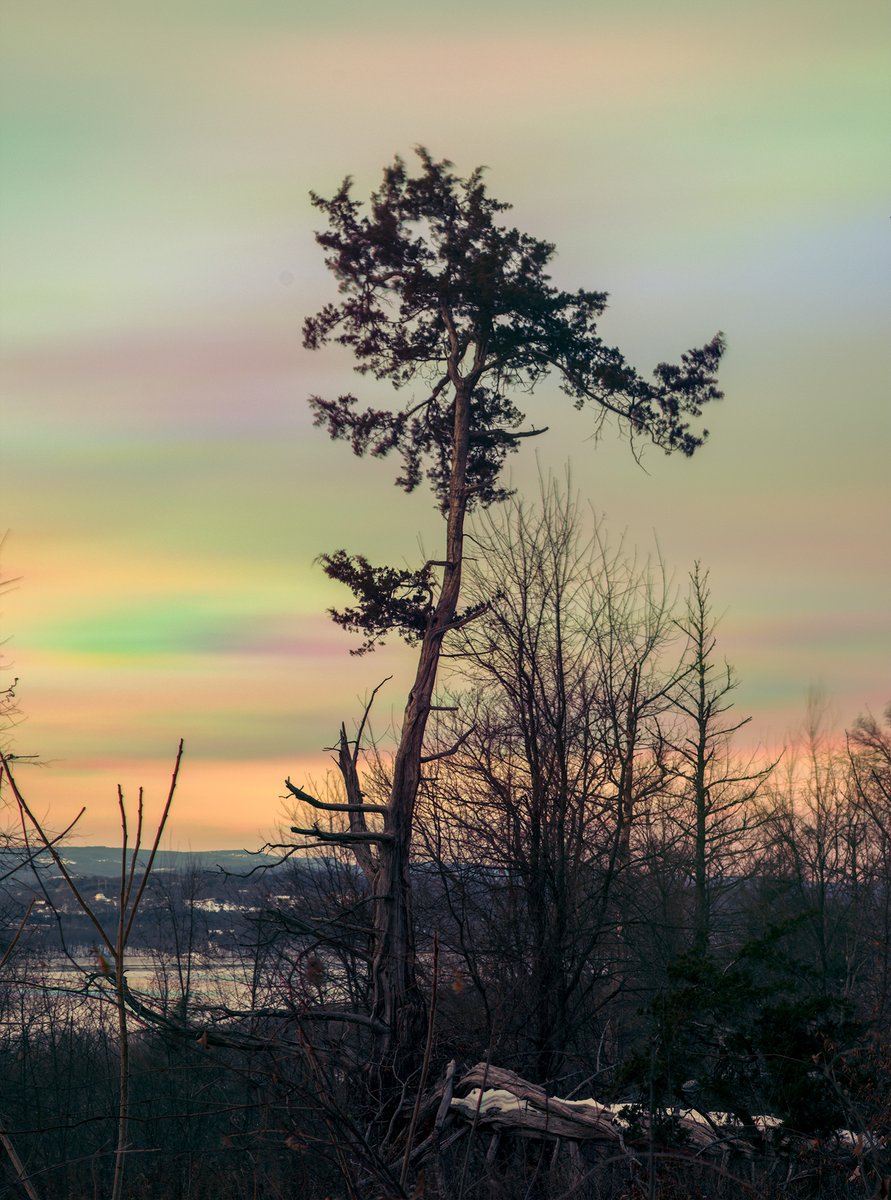 Alon Koppel 📷 tweet media