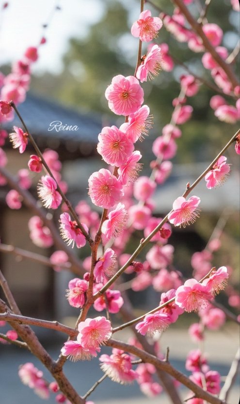 のりまる様 ZXですか？あっディスクがシングルでかっこいいですね」信号待ちで