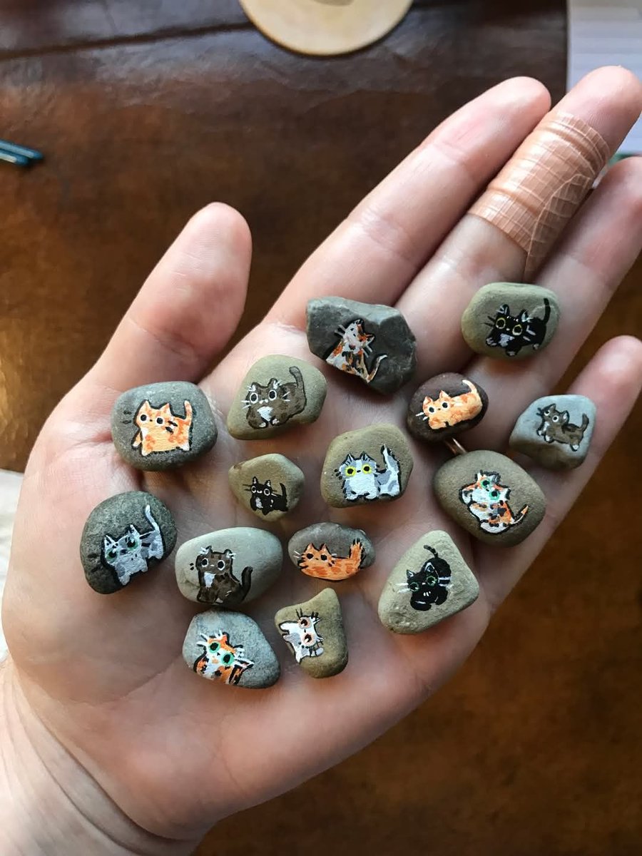 only cute things (@cutedreamvibes) on Twitter photo 