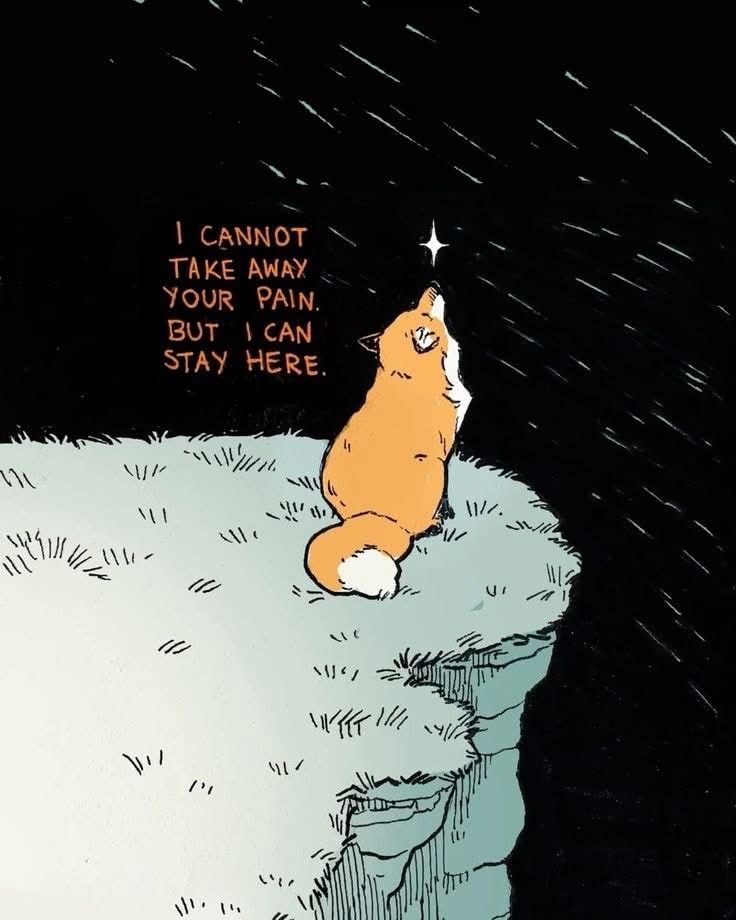 cutedreamvibes's tweet image. 