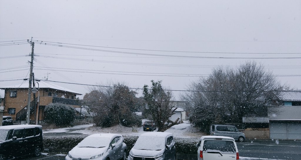 ちなみに雪はこんな感じだた🥶🥶🥶