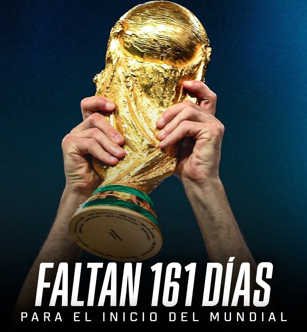 miguelfpro's tweet image. 