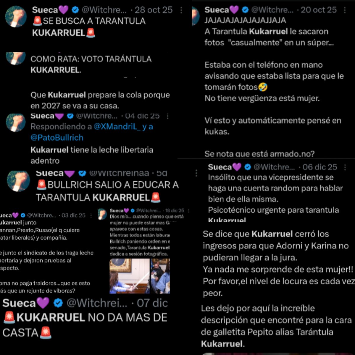 Quién apaña este ataque contra <a href="/VickyVillarruel/">Victoria Villarruel</a> ?

Cuando "criticar" pasa a ser  obsesión y hostigamiento sistemático, se torna peligroso. 
Llama la atención que incluso una mujer dedique su tiempo a degradar, inventar y atacar todos los días, y además forme parte de un patrón