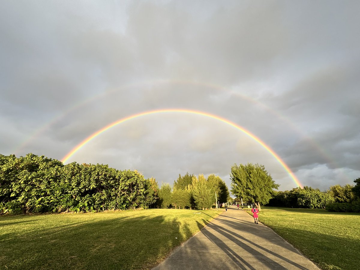 前野［いろもの物理学者］昌弘 tweet media